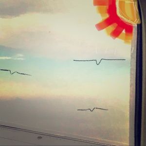 Meet your Posher, Dakota